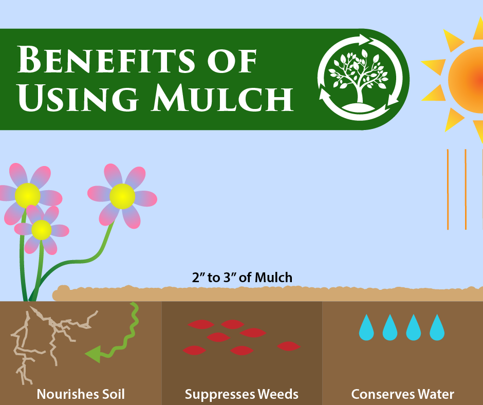 Benefits of Mulching