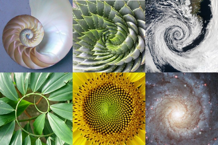 Objects in design of Golden Ratio