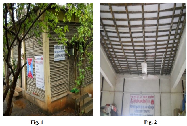 Case Study of Bamboo Structure