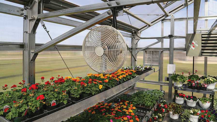 Cooling your Greenhouse