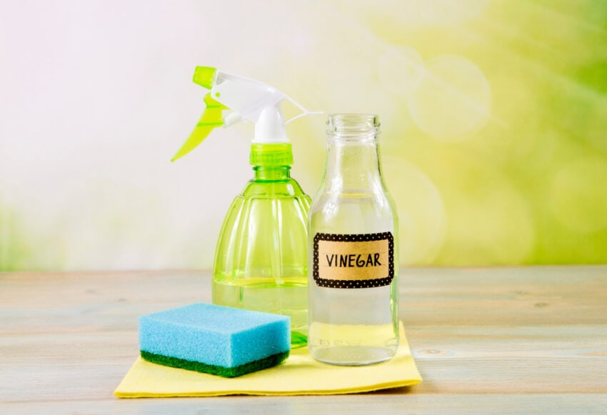 Mold Cleaning using Vinegar
