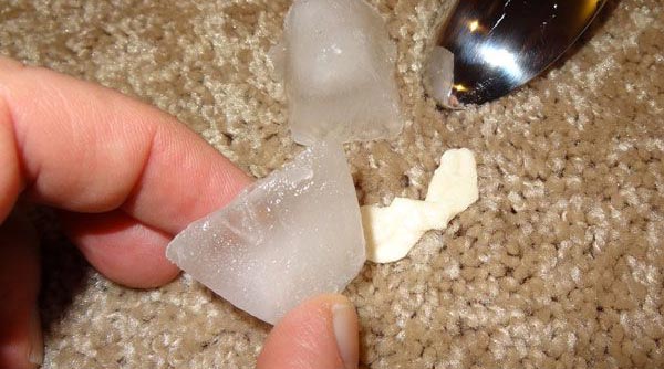 Removing Chewing Gum from the Carpet Using Ice Cubes