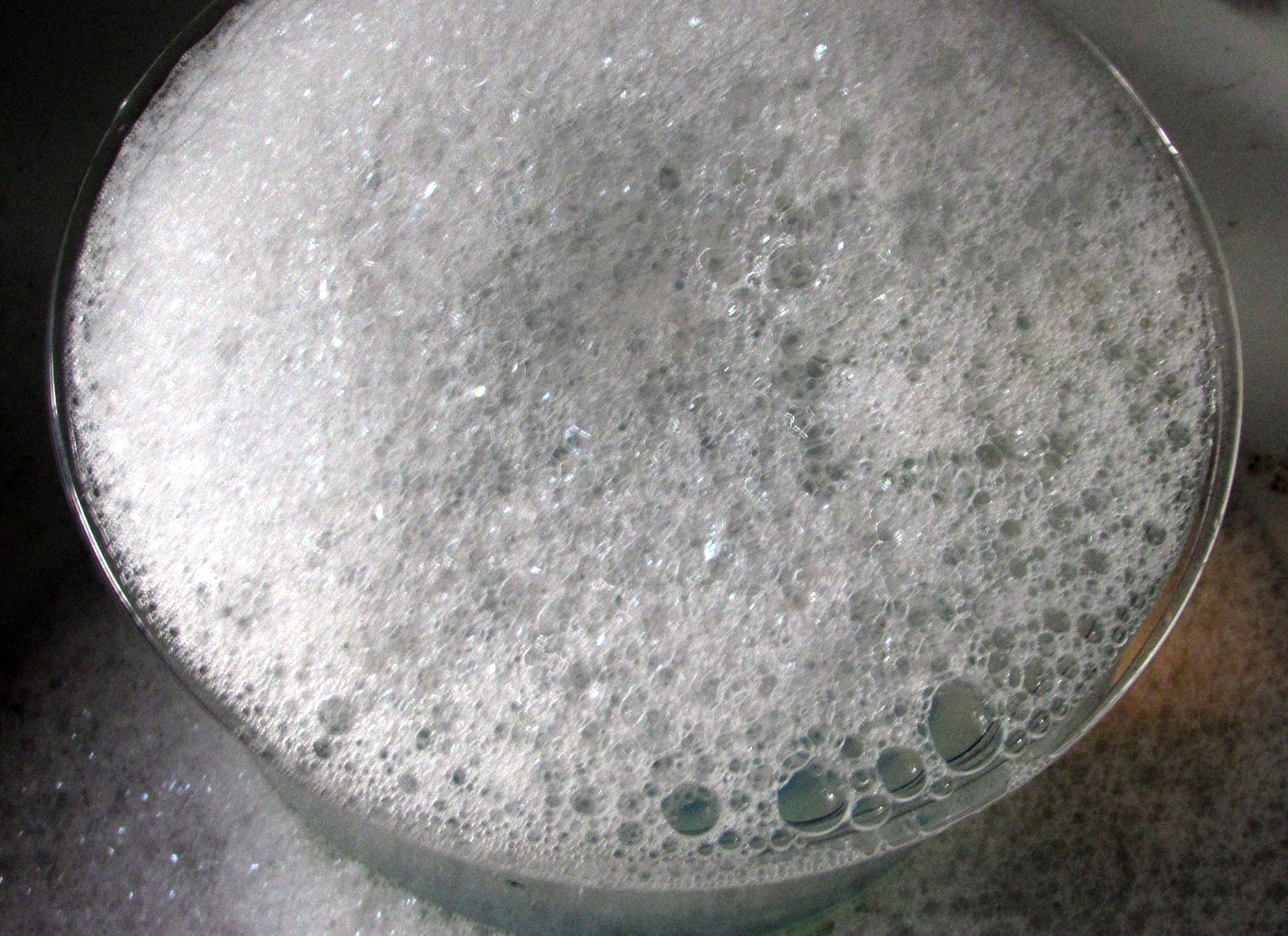 Soap Water for Mold Removal