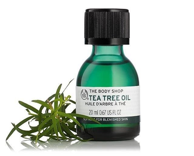 Tea Tree Oil for Mold Removal
