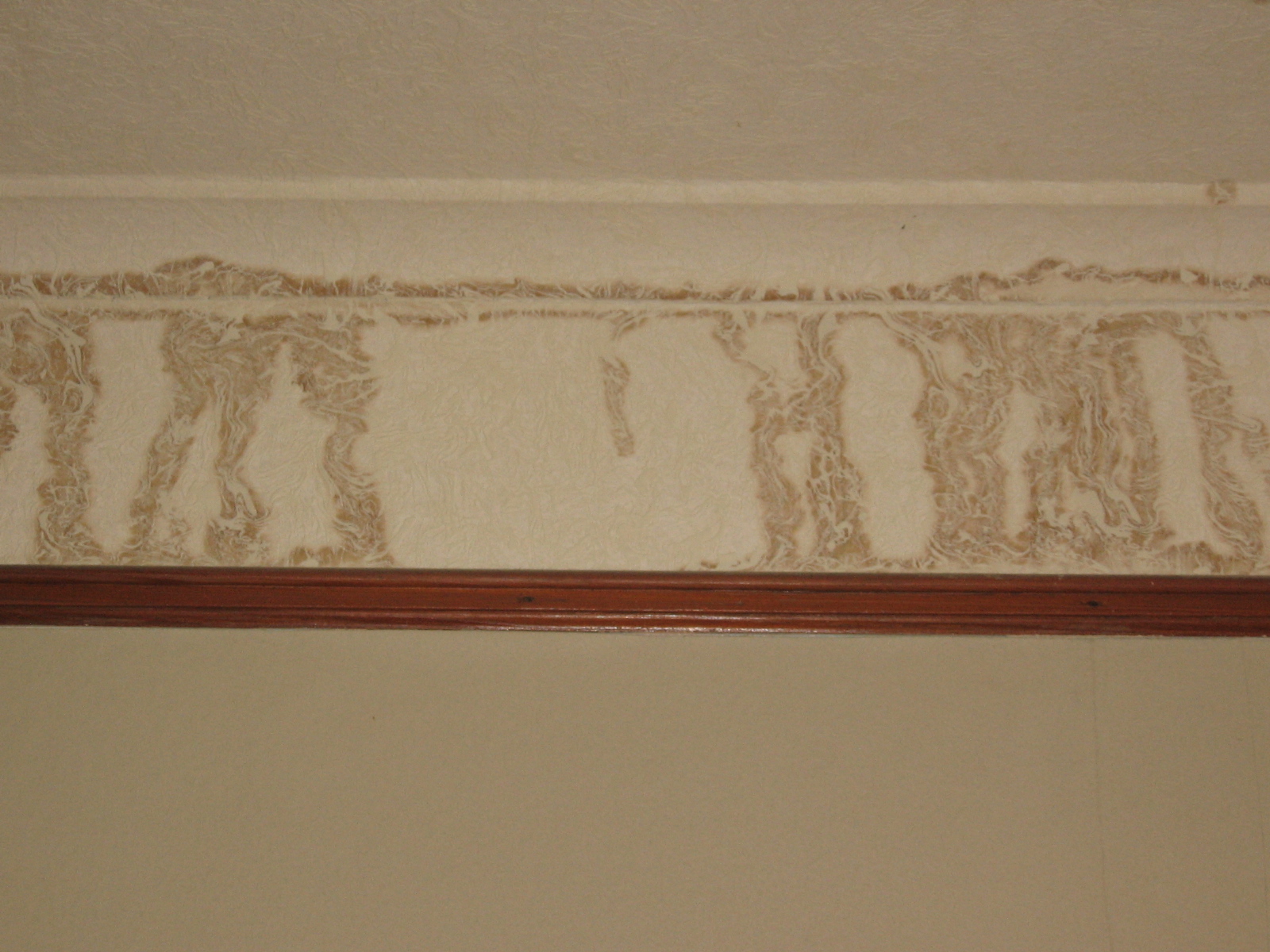 Water Stains on Wall