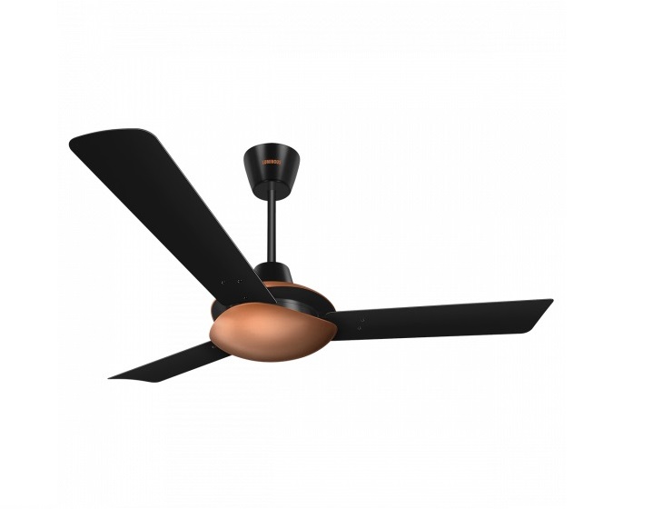 Stylish Ceiling Fan can Match Your Room Ambiance