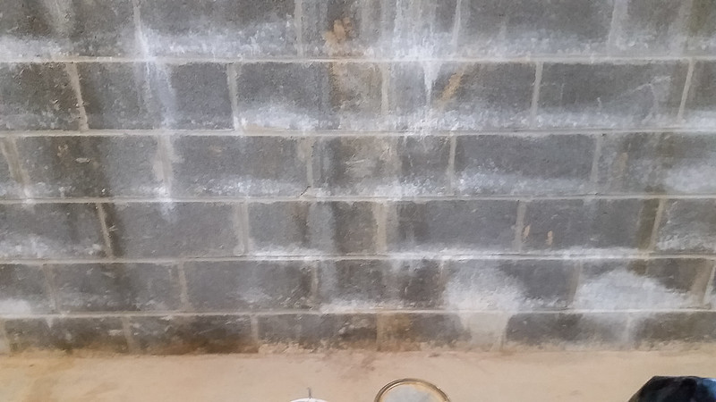 White Stains on Basement Wall