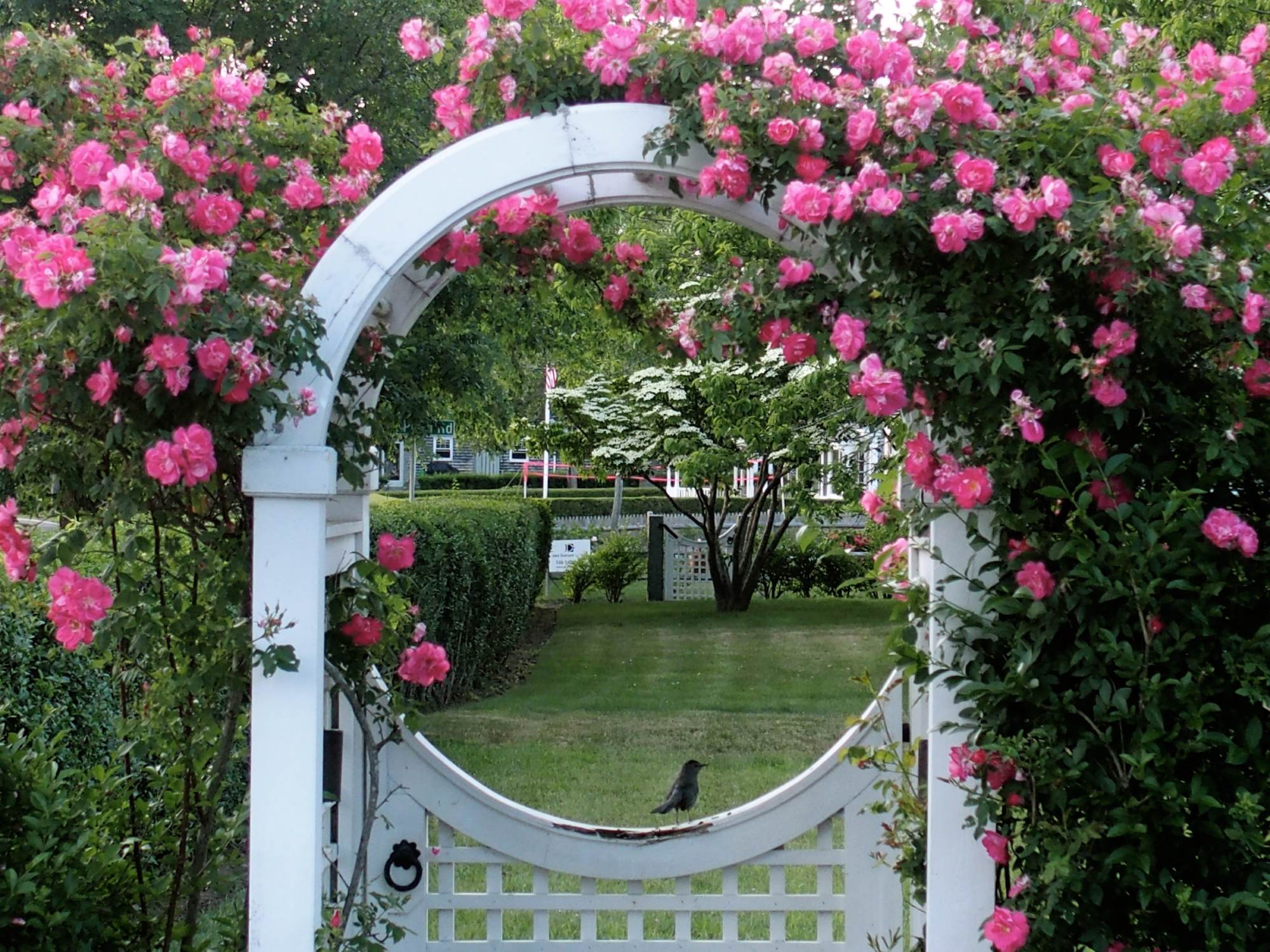 Thiết kế vườn rustic là xu hướng được nhiều người yêu thích hiện nay. Hãy cùng chiêm ngưỡng những khu vườn theo phong cách rustic mang đến không khí trong lành, thư giãn và yên bình, đem lại sự thư thái cho người thưởng ngoạn.
