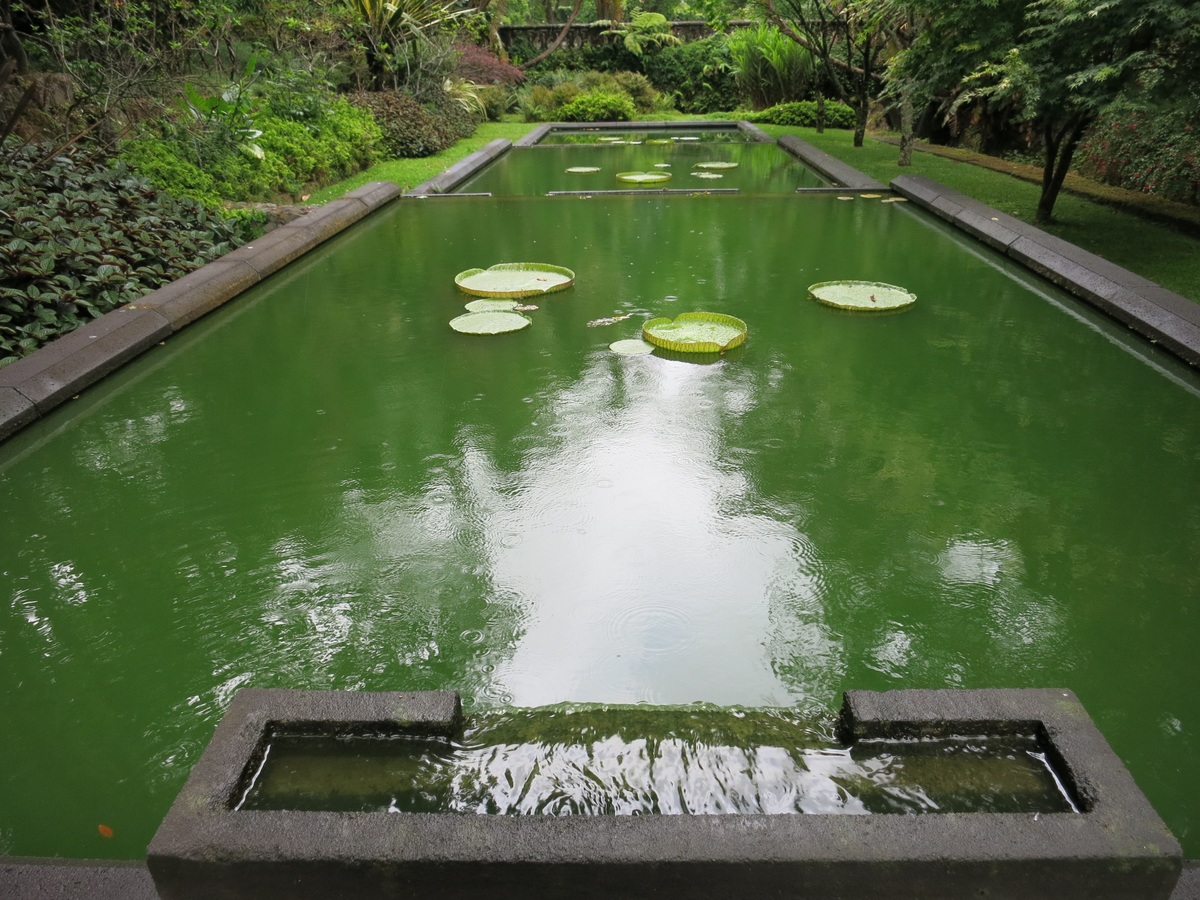 Convert Existing Pool into Pond