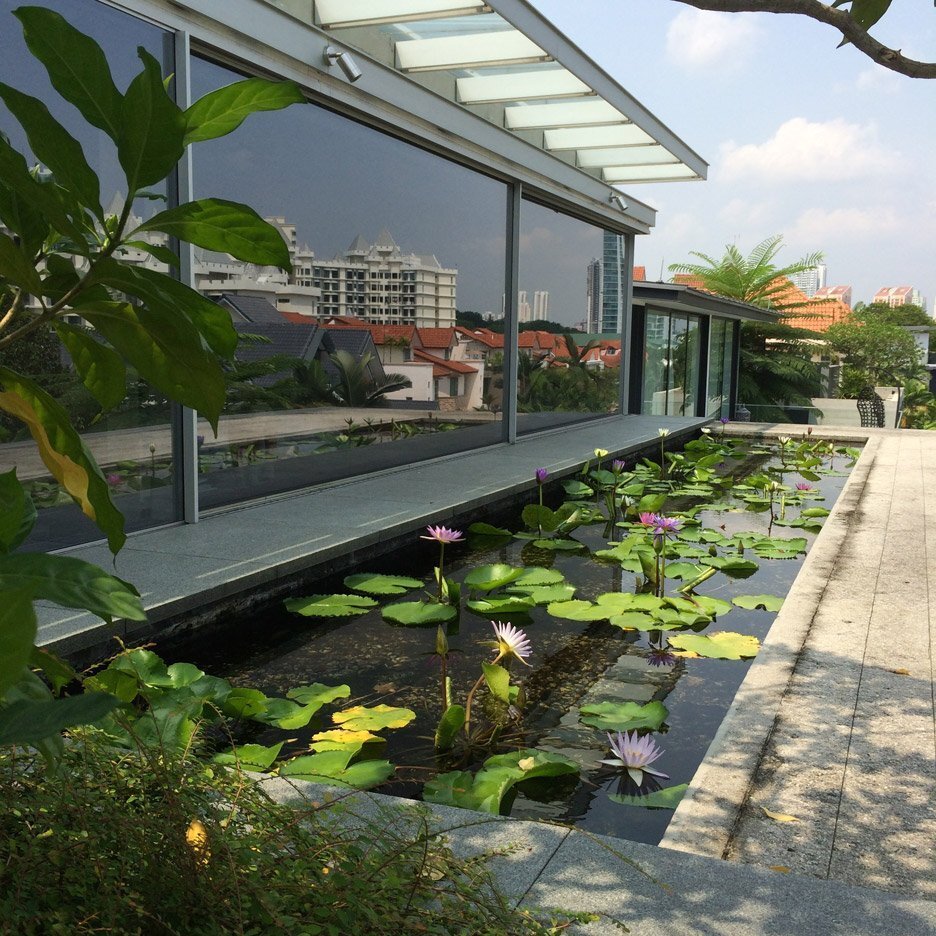 Rooftop Surface Level Pond
