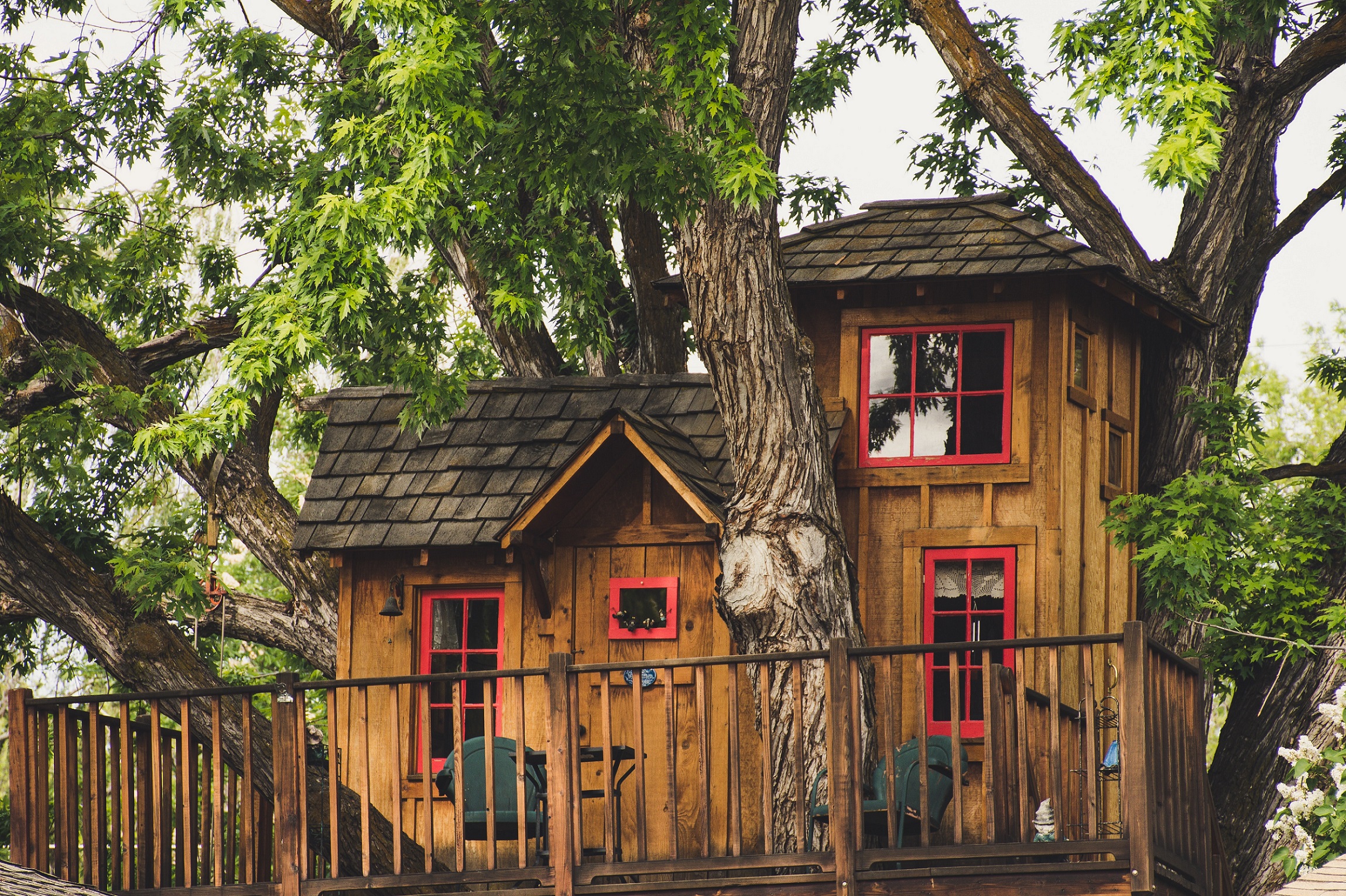 Tree House Porch
