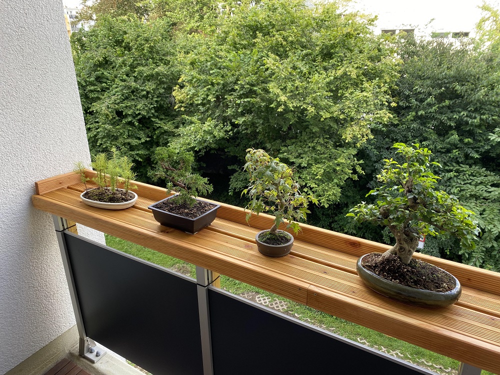 Bonsai Balcony