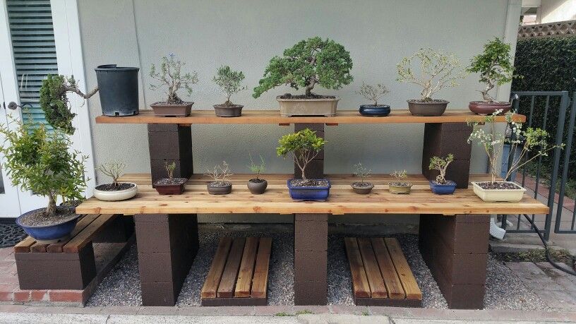 Layout for Your Bonsai Balcony